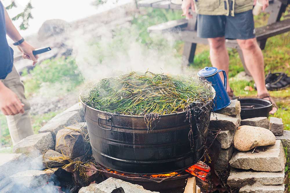 maine-lobster-bake