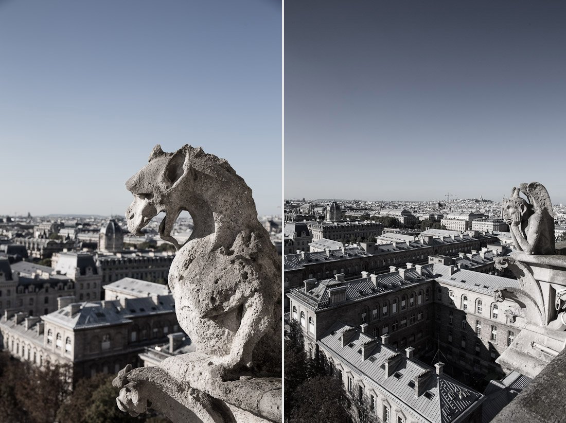 notre-dame-cathedral-church-roof-tours-stairs-tower-gargoyle-chimera-statue-paris-france-view-architecture-stone-photo-shershegoes.com (1)