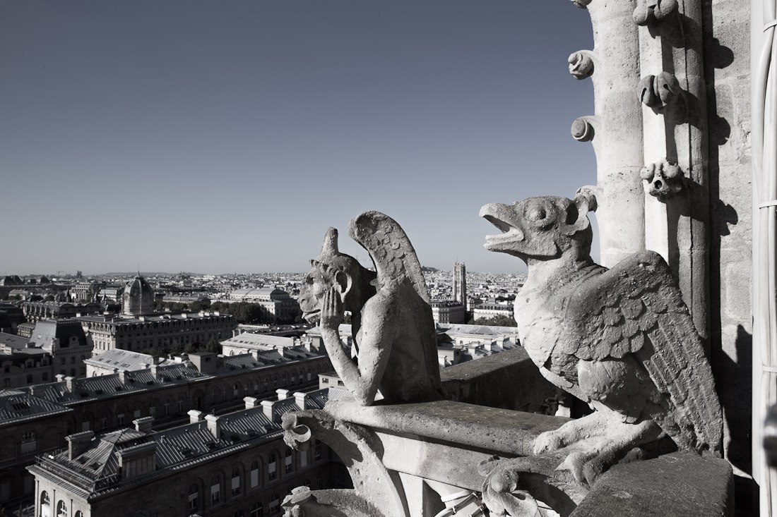 notre-dame-cathedral-church-roof-tours-stairs-tower-gargoyle-chimera-statue-paris-france-view-architecture-stone-photo-shershegoes.com (3)