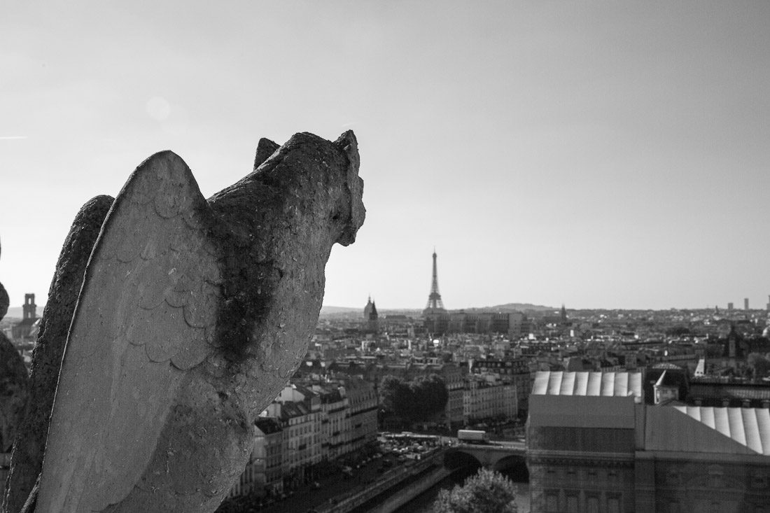 notre-dame-cathedral-church-roof-tours-stairs-tower-gargoyle-chimera-statue-paris-france-view-architecture-stone-photo-shershegoes.com (4)