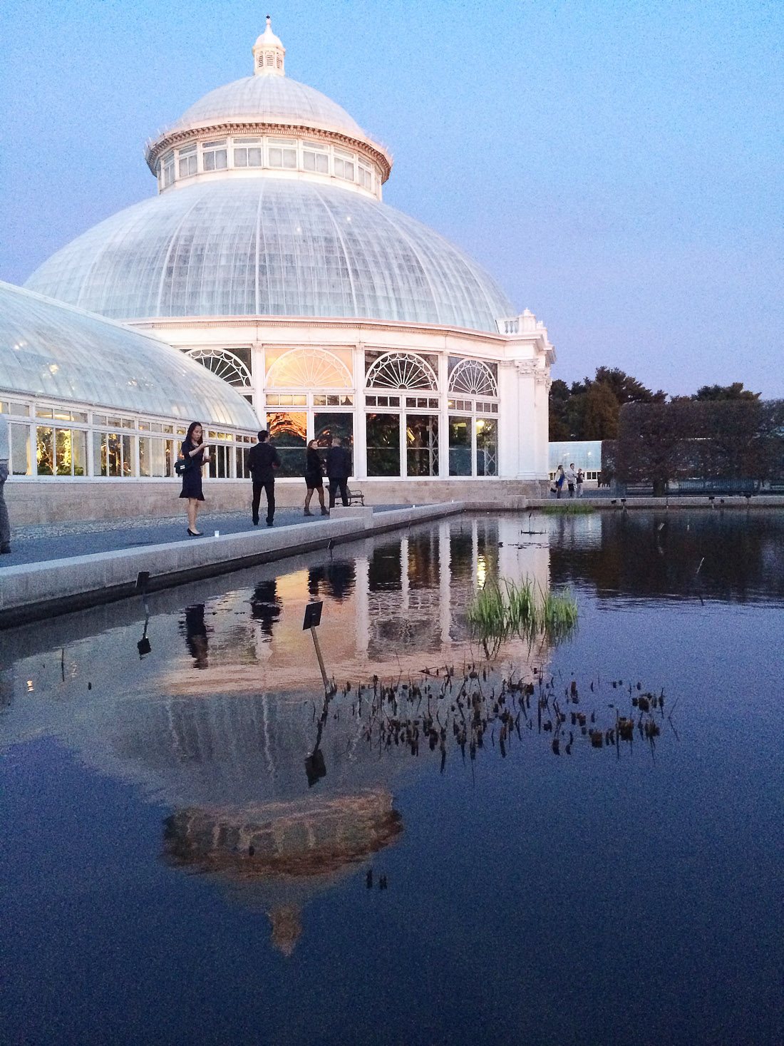 nybg new york botanical garden bronx orchid evenings cocktail event show key west 2014 flower flowers photo shershegoes.com (3)