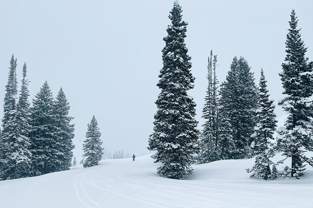 skiing-at-alta-utah-ikon-pass