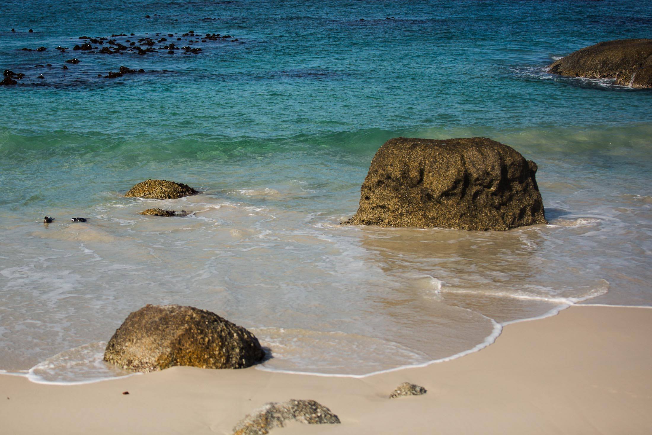 Pinguine in Südafrika: Stony Point und Boulders Beach 