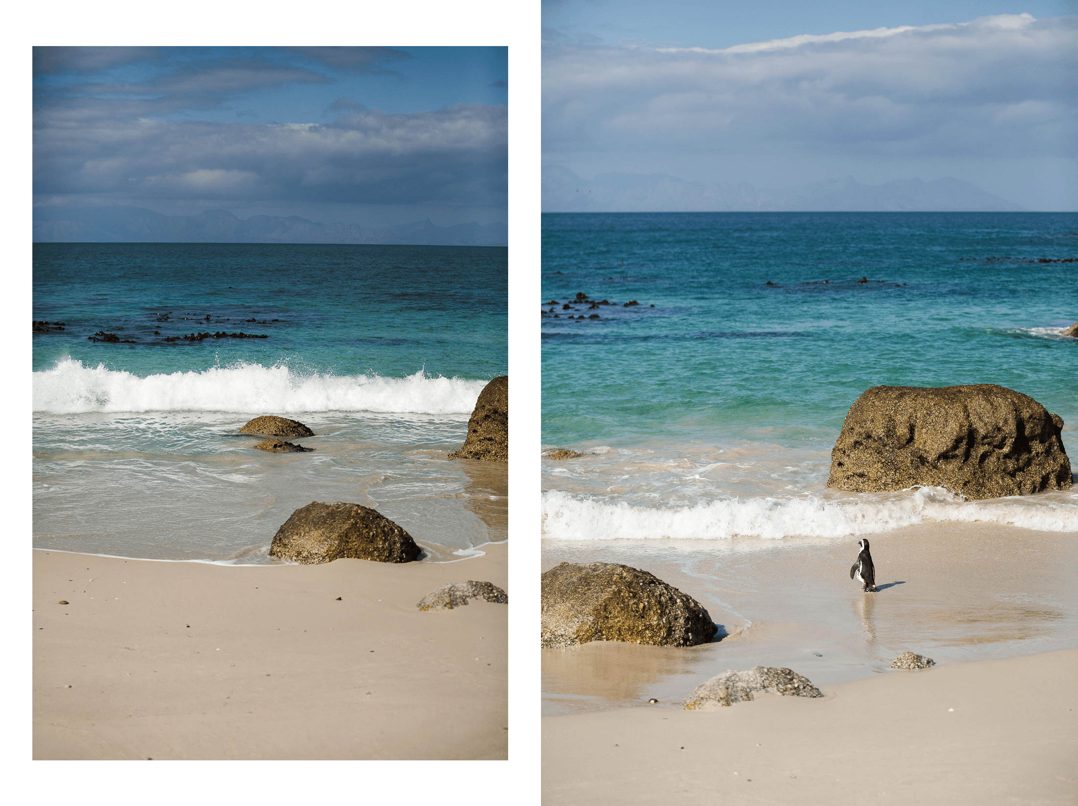 Pinguine in Südafrika: Stony Point und Boulders Beach 