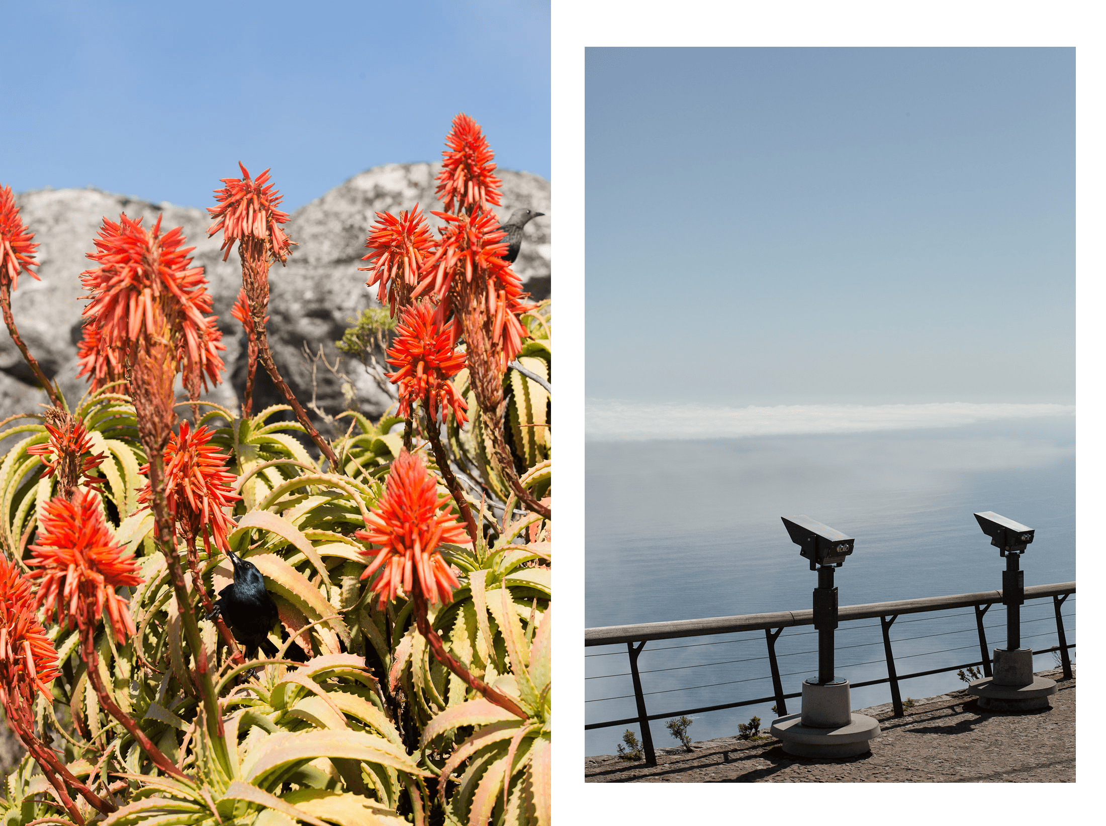 africa south africa cape town travel guide table mountain climb hike viewpoint over clouds sher she goes shershegoes.com