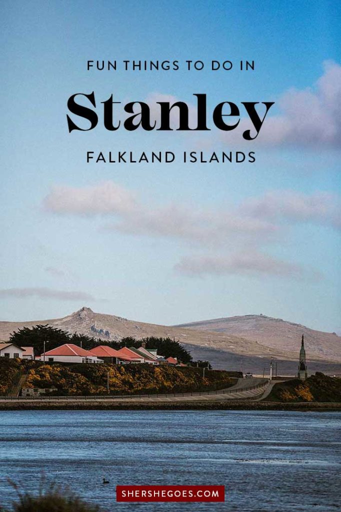 1 Day In Stanley The British Capital Of The Falklands   Stanley Falklands Travel Tips 682x1024 