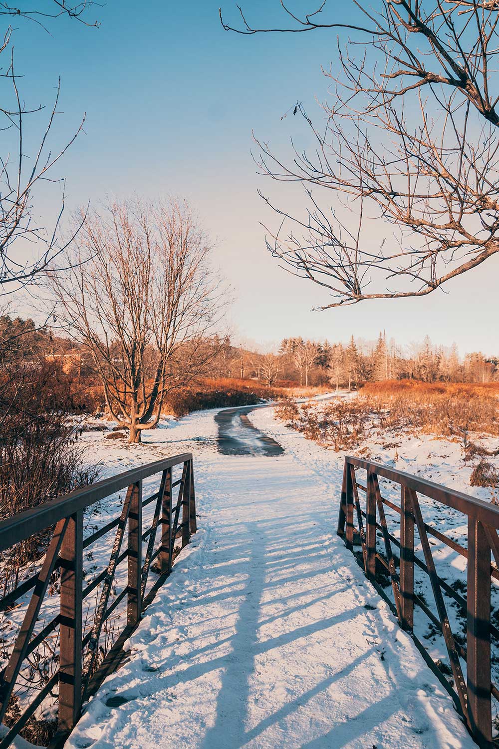 stowe-recreation-path-vermont