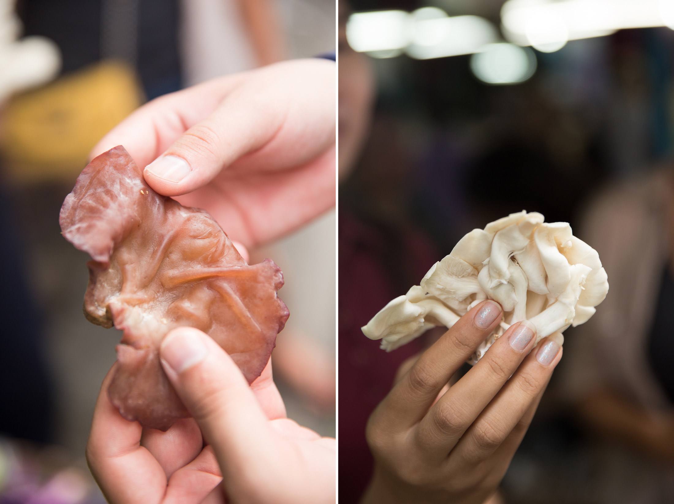 elephant mushroom oyster mushroom thailand chiang mai thai cooking class market vegetable tour photo shershegoes.com (1)