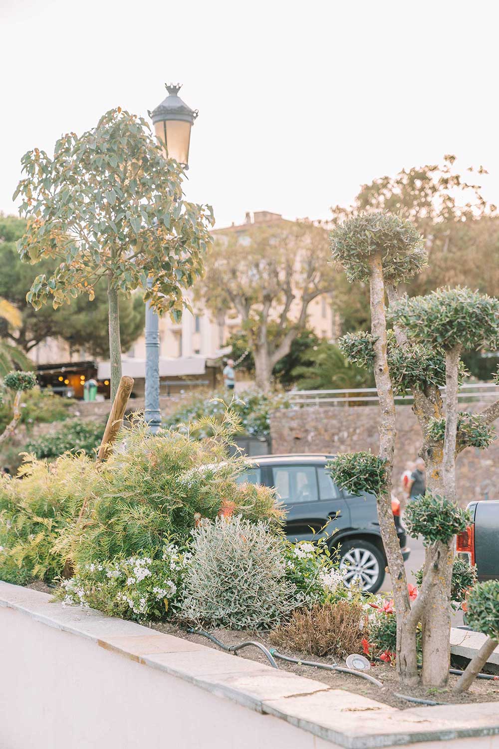 the-best-things-to-do-in-corsica-france