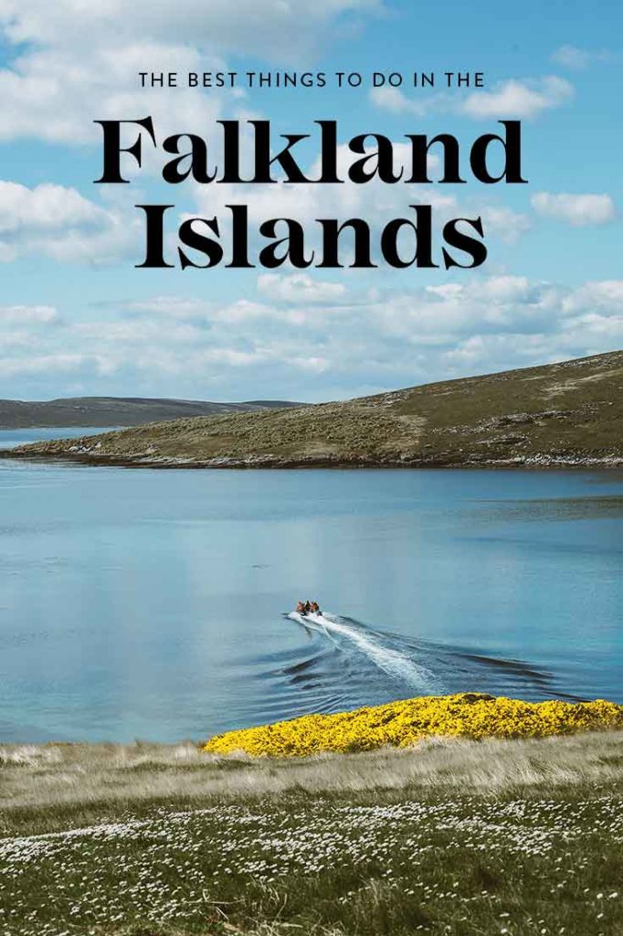 9 Beautiful Places in the Falklands to See Penguins, Seals & More!