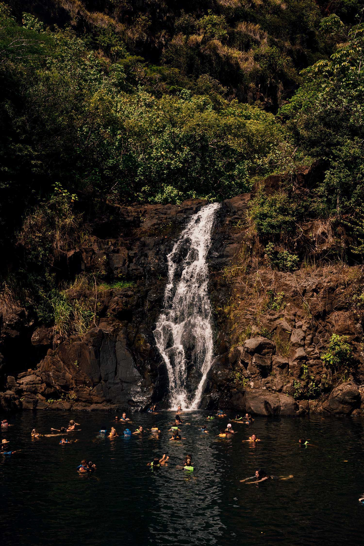 things-to-do-north-shore-waimea-waterfall